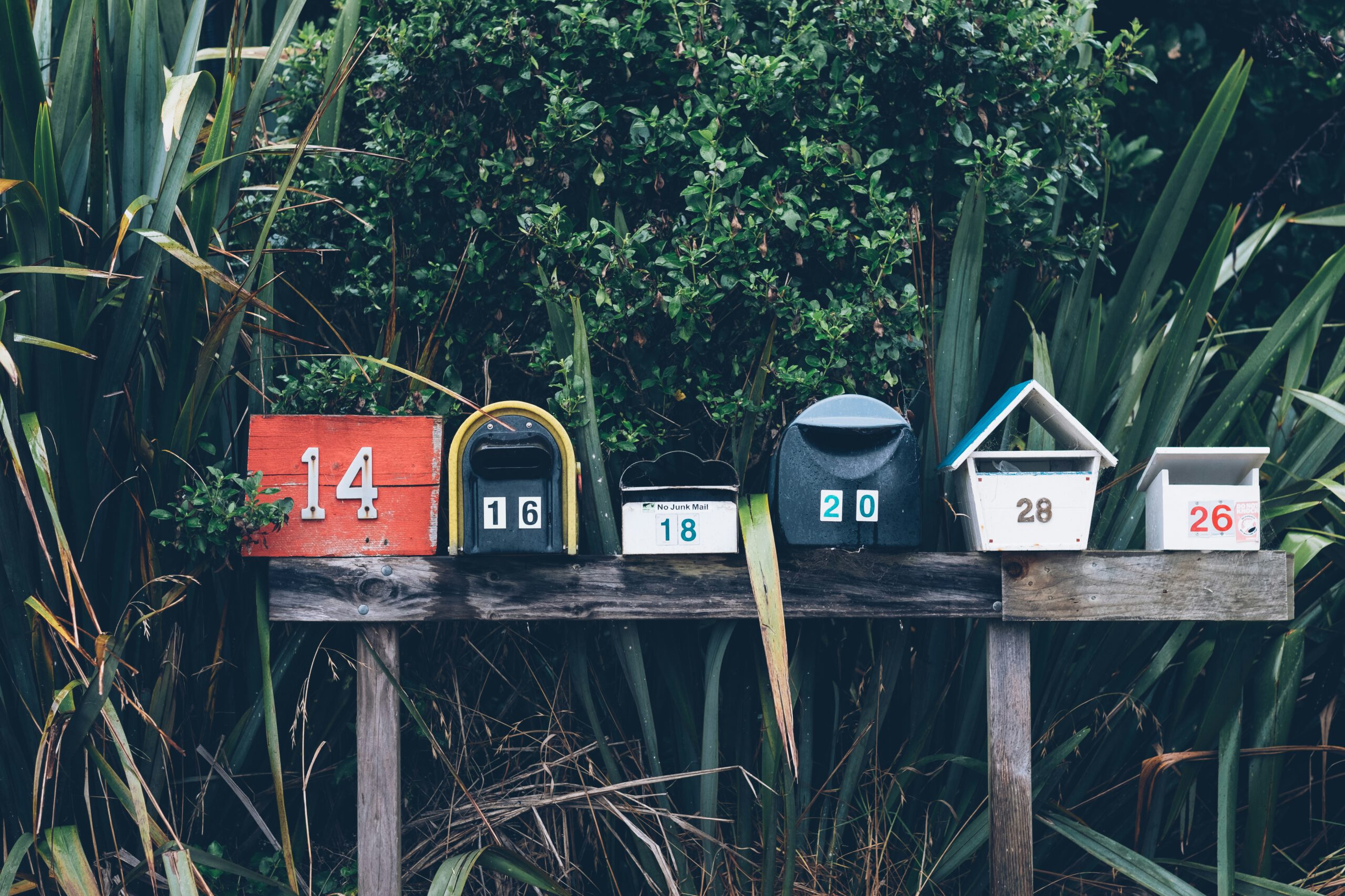 Newsletter Anmeldung